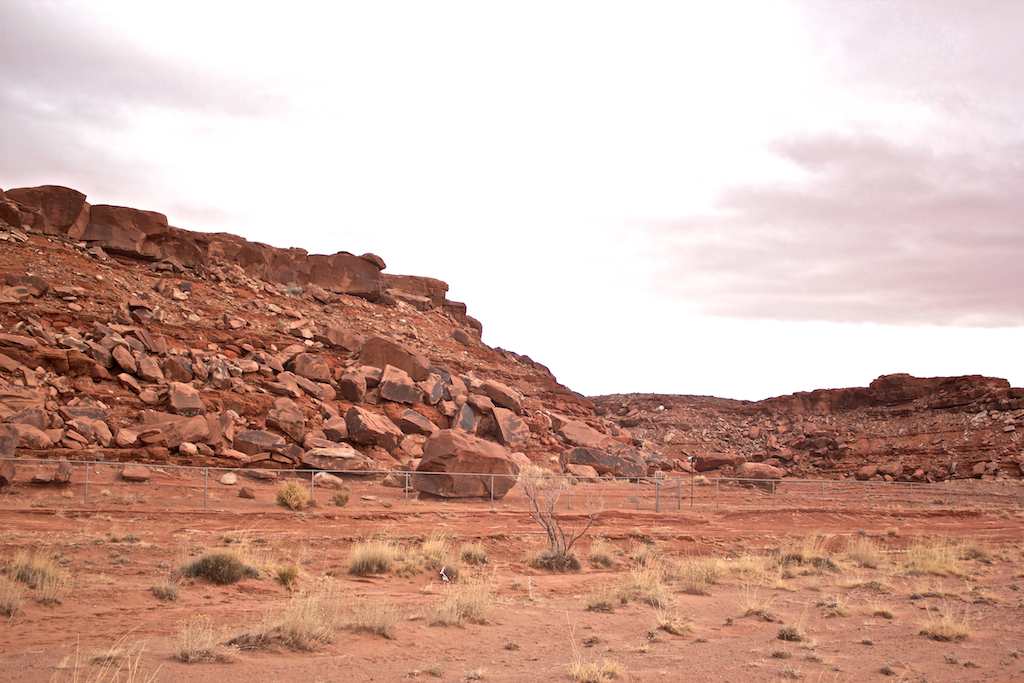 Kay s Photo Journal February 2015