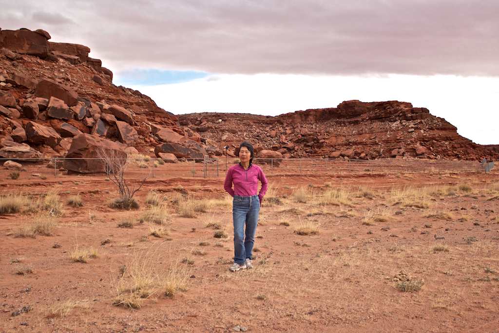 Kay s Photo Journal February 2015