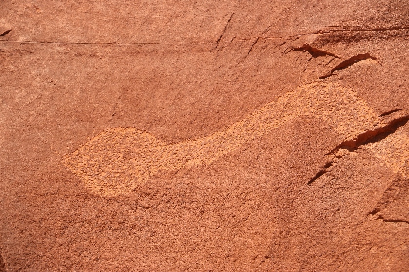 Solstice Snake, Moab, UT